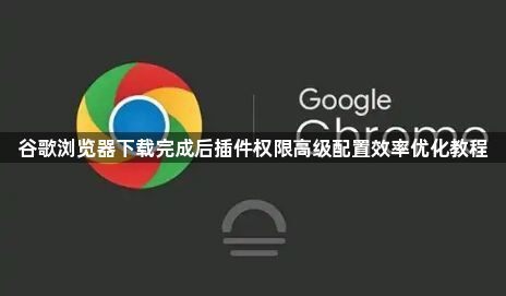 谷歌浏览器下载完成后插件权限高级配置效率优化教程1