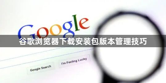 谷歌浏览器下载安装包版本管理技巧1