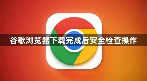 谷歌浏览器下载完成后安全检查操作1