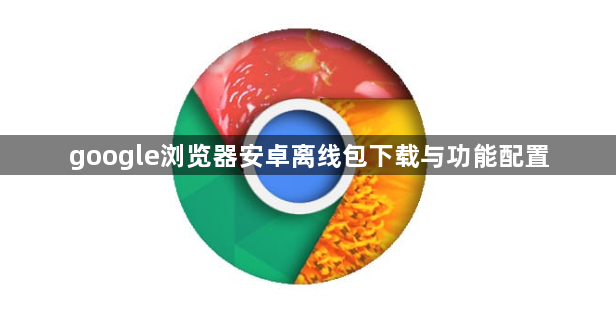 google浏览器安卓离线包下载与功能配置1