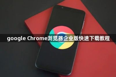 google Chrome浏览器企业版快速下载教程1