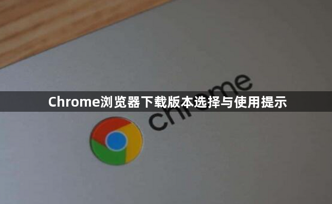 Chrome浏览器下载版本选择与使用提示1