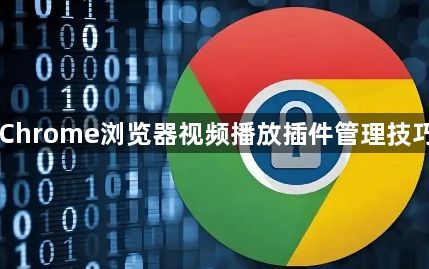 Chrome浏览器视频播放插件管理技巧1